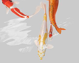 V社回应AMD新型PC掌机APU亮相 暂无搭载Steam Deck计划